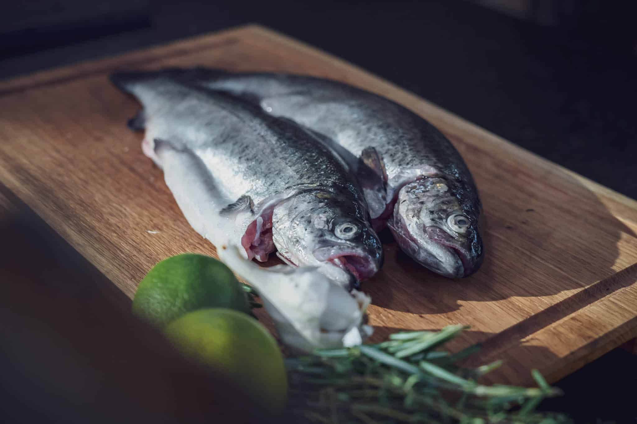 Forelle grillen | einfach & lecker