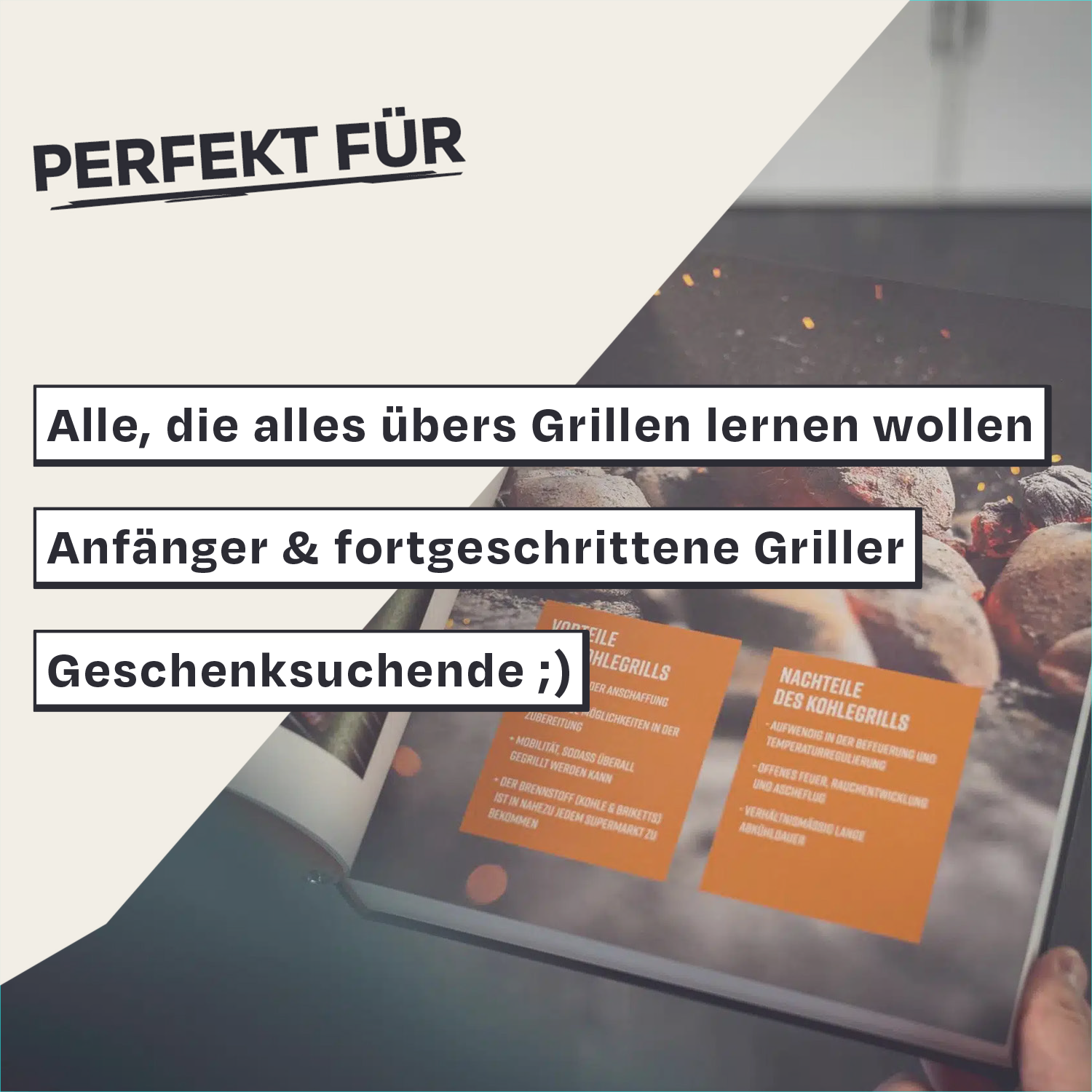 Nahaufnahme eines Buches über Grillen, Text nennt Anfänger und Fortgeschrittene.