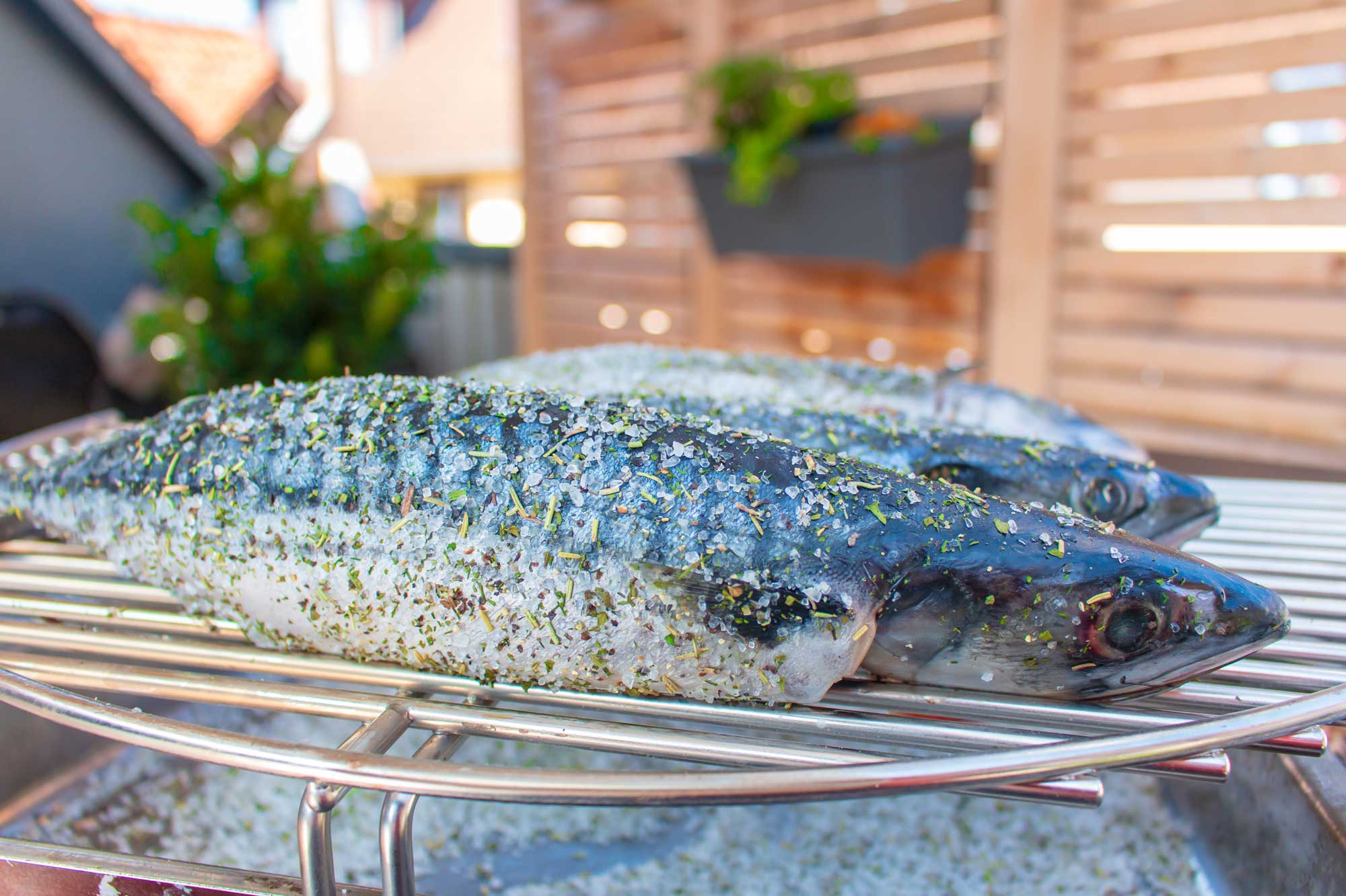 Makrelen werden gewürzt