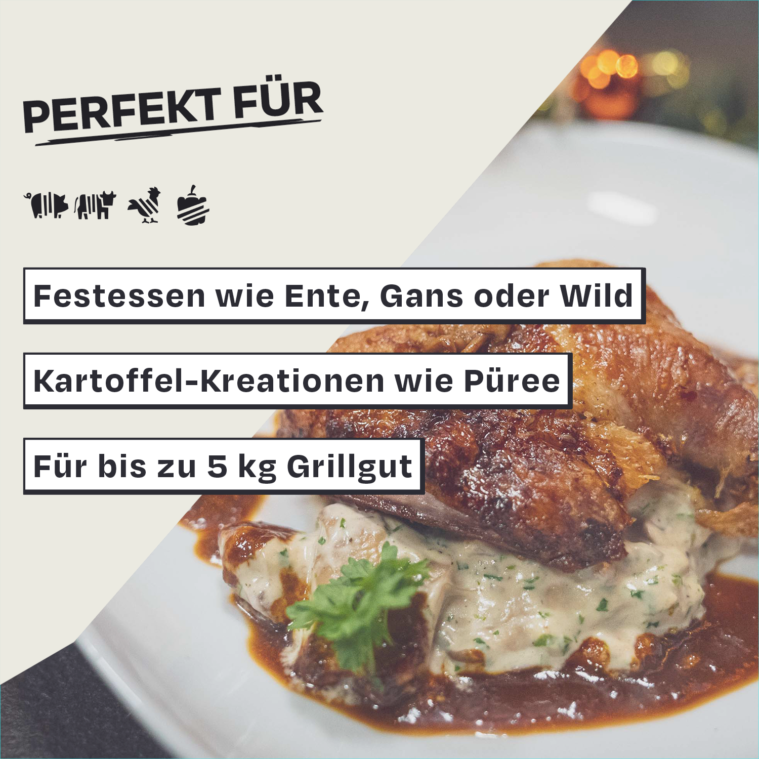 Gericht mit Soße und Fleisch, Text: Perfekt für Festessen wie Ente, bis zu 5 kg Grillgut.