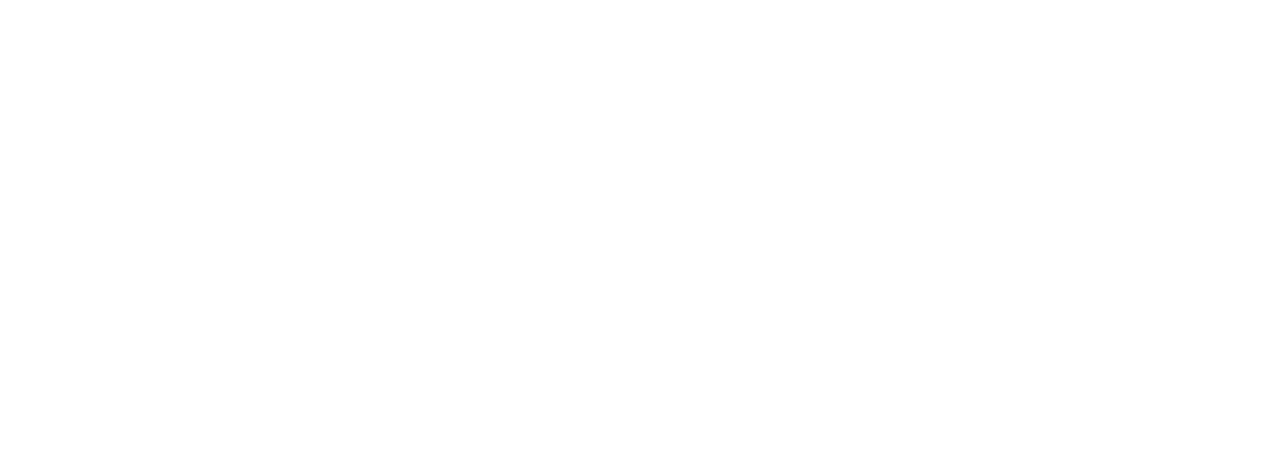 SizzleUp Logo in weiss