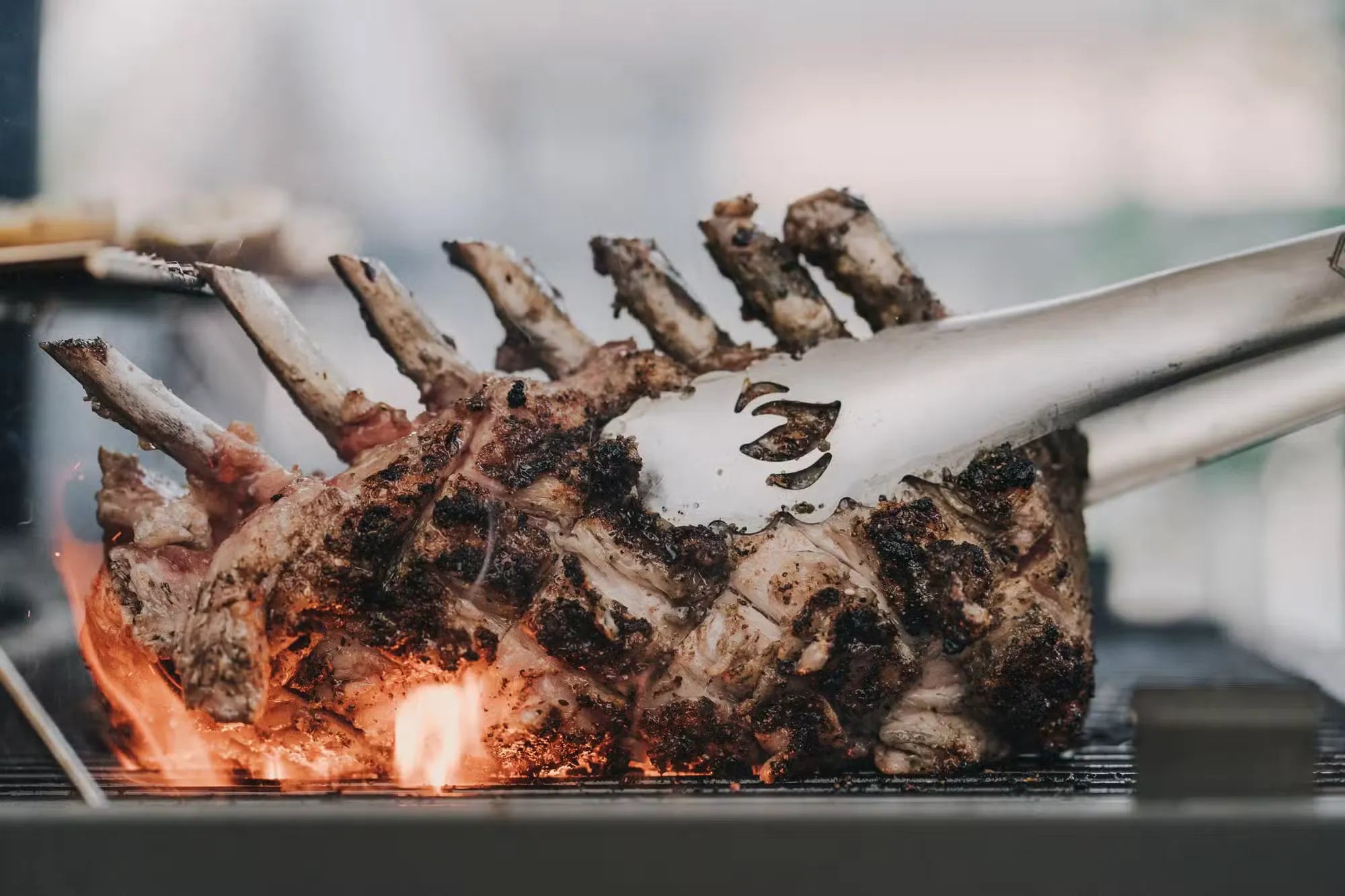 Iberico Karee grillen: French Rack vom Schwein