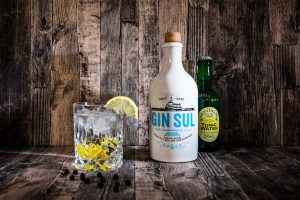Der Gin Sul Test - Hier als Gin Tonic